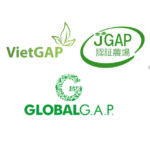 VietGAP