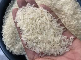 PR 11 Rice